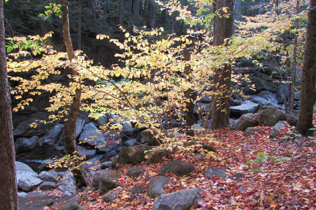 New Hampshire's Sculptured Rock area