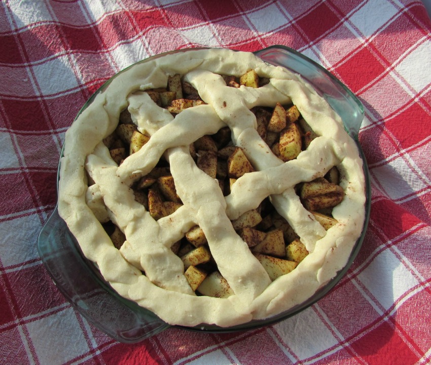 uncooked-pie